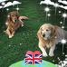 Tom Ward - Facebook