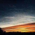 Tom Warwick - @tomwarwickart - Instagram