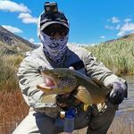 Tom Watanabe - @tomwatt4642 - Instagram