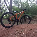 Tom Weeden - @tom_bikez - Instagram