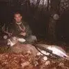 Tom Westervelt - @tom.westervelt - TikTok