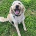 Tom Westfall - Facebook
