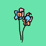 Tom White - @sp33d_of_white - Instagram