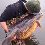 Tom White - @pure_original_ - Instagram