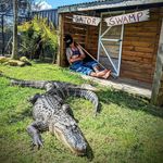 Tom Whitehouse - @whitey_wildtimes - Instagram