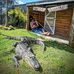 Tom Whitehouse - Facebook