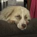 Tom Whitehouse - Facebook