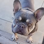 Tommy Whitehurst - @tomewhitehurst79 - Instagram