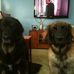 Tom Whiteman - Facebook