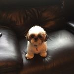 Tom Whiteman - @whiteman8365 - Instagram