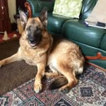 Tom Whitfield - @tom.whitfield.520 - Instagram