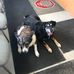 Tom Whiting - Facebook