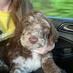 Tom Willard - @heyimtomwillard - Instagram