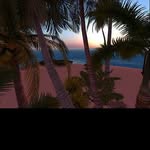 @tomwimmerd - Instagram