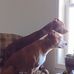 Tom Winslow - Facebook