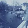Tom Winslow - @tom.winslow2 - TikTok
