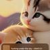Tom Wise - Facebook