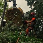 Tom Wise - @t.wise97 - Instagram