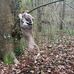 Tom Wood - Facebook