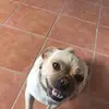 twoodham - @tom.woodham - TikTok