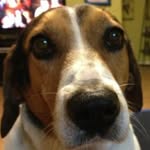 Tom Woosley - @tom.woosley.33 - Instagram