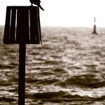tom wray - @stingwray_thoughts - Instagram
