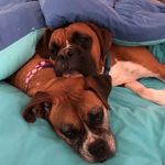 Tom Wroblewski - @wroblewski23 - Instagram
