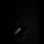 tom wyatt - @tomwyatt.12 - Instagram