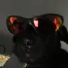 Tom Wyatt - @t_wyatt368854 - TikTok