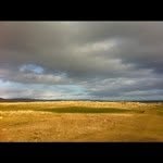 @tomwyatt - Instagram