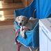 Tom Wyss - Facebook