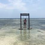 Tom Yeomans - @tomyeomans1 - Instagram