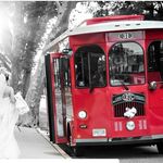 Tom Young - @longbranchtrolley - Instagram