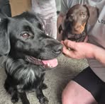 Tom Young - Facebook