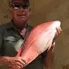 Tom Youngblood530 - @tomyoungblood530 - TikTok