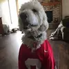 Tom Zahniser917 - @tomzahniser1118 - TikTok