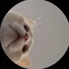 :) 💗 - @tomasarias296 - TikTok