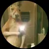 TomasArias010 - @tomasarias010 - TikTok