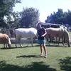 tomasbatalla249 - @tomasbatalla249 - TikTok