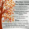 Tomas Bravo - @tomasbravo978 - TikTok