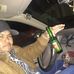 Tomas Camacho - Facebook