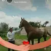 Tomas Camacho - @tomas.camacho50 - TikTok