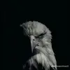 Carrillo Josué - @tomascarrillo470 - TikTok