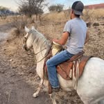 Tomas Castañeda - @tomascastaneda65 - Instagram