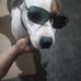 Tomas Castro - Facebook