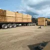 Tomas Clemente - @tomas.clemente2 - TikTok