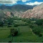 Tomas Erazo - @tomas.erazo - Instagram