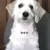 Tomás Erazo Farias - @tomiii_4661 - TikTok
