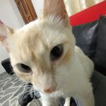 Tomas Estrada - @tomas.idk__ - Instagram