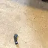 Tomas Garza - @tomas.garza2 - TikTok